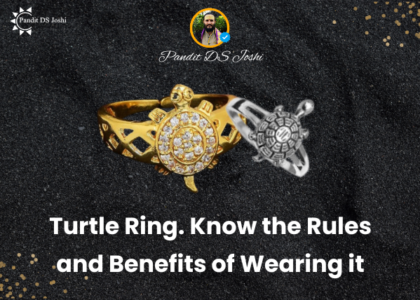 Turtle Ring